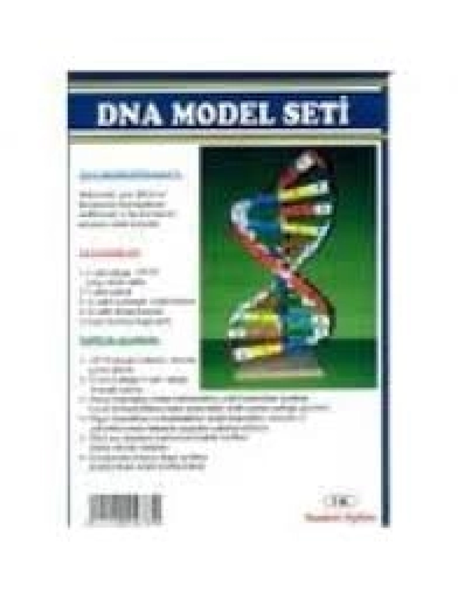 DNA MODEL SETİ