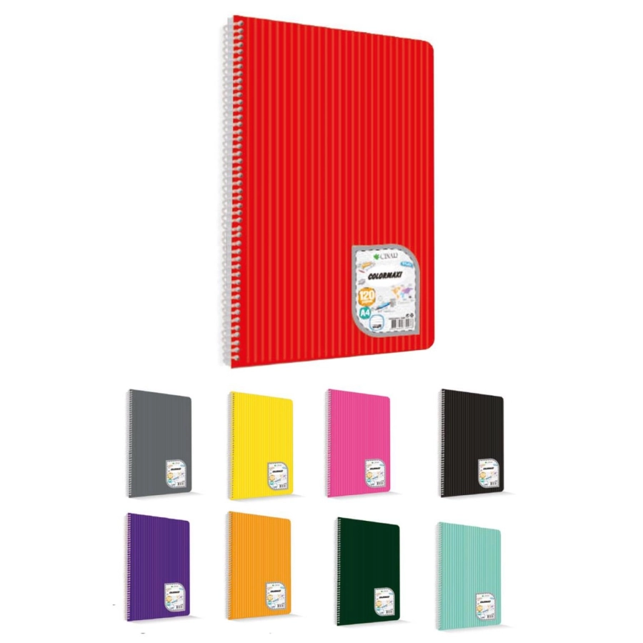  40/4 YP ÇINAR COLORMAXİ A4 PP DEF. 73017