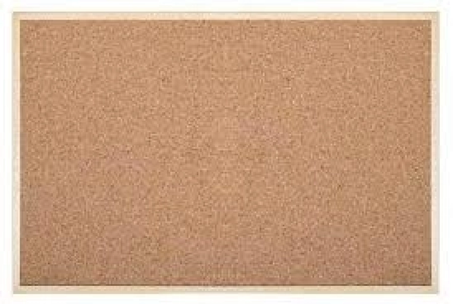  MANTAR PANO 45X60 İNTERPANO
